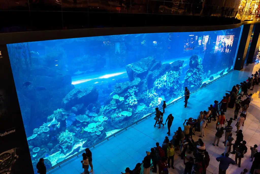 Dubai Aquarium in the Dubai Mall