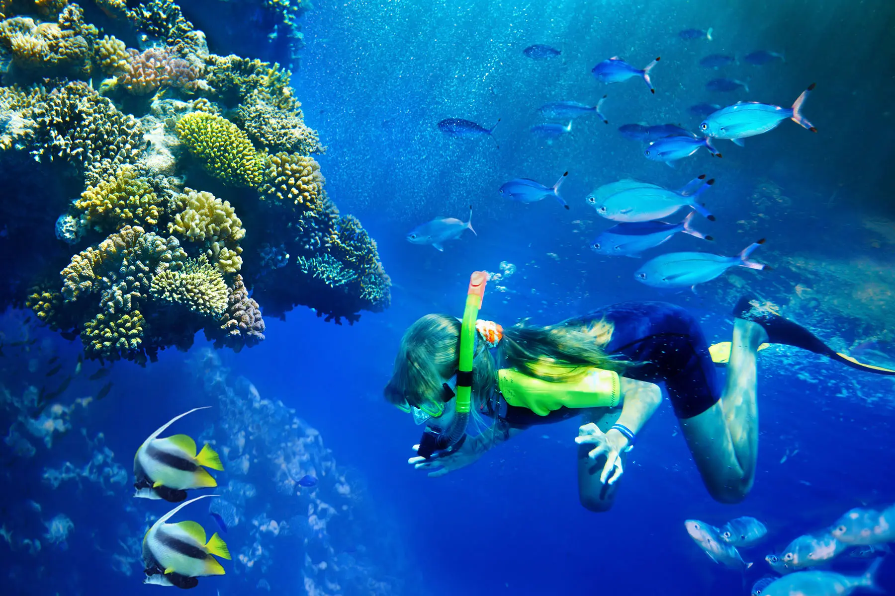 Snorkelen in Dubai