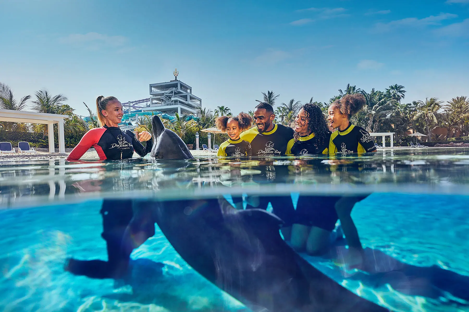 Swimming with dolphins in Dubai